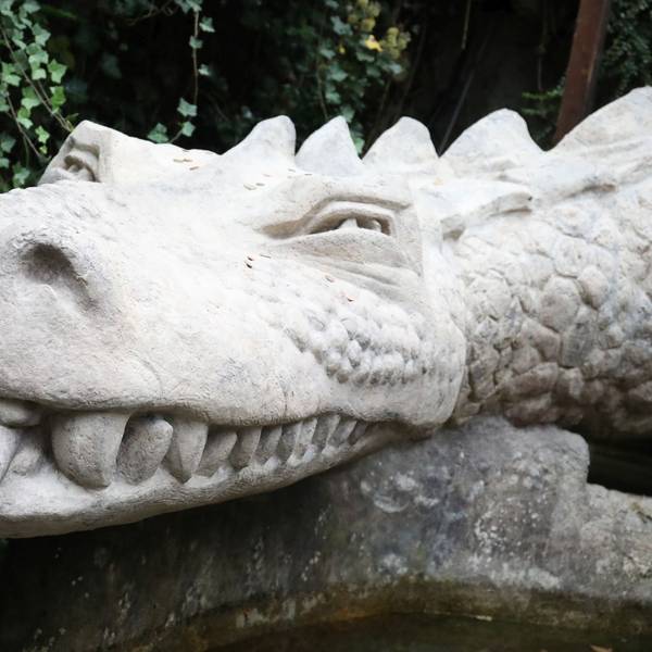 Der Kopf eines Drachen aus Beton.