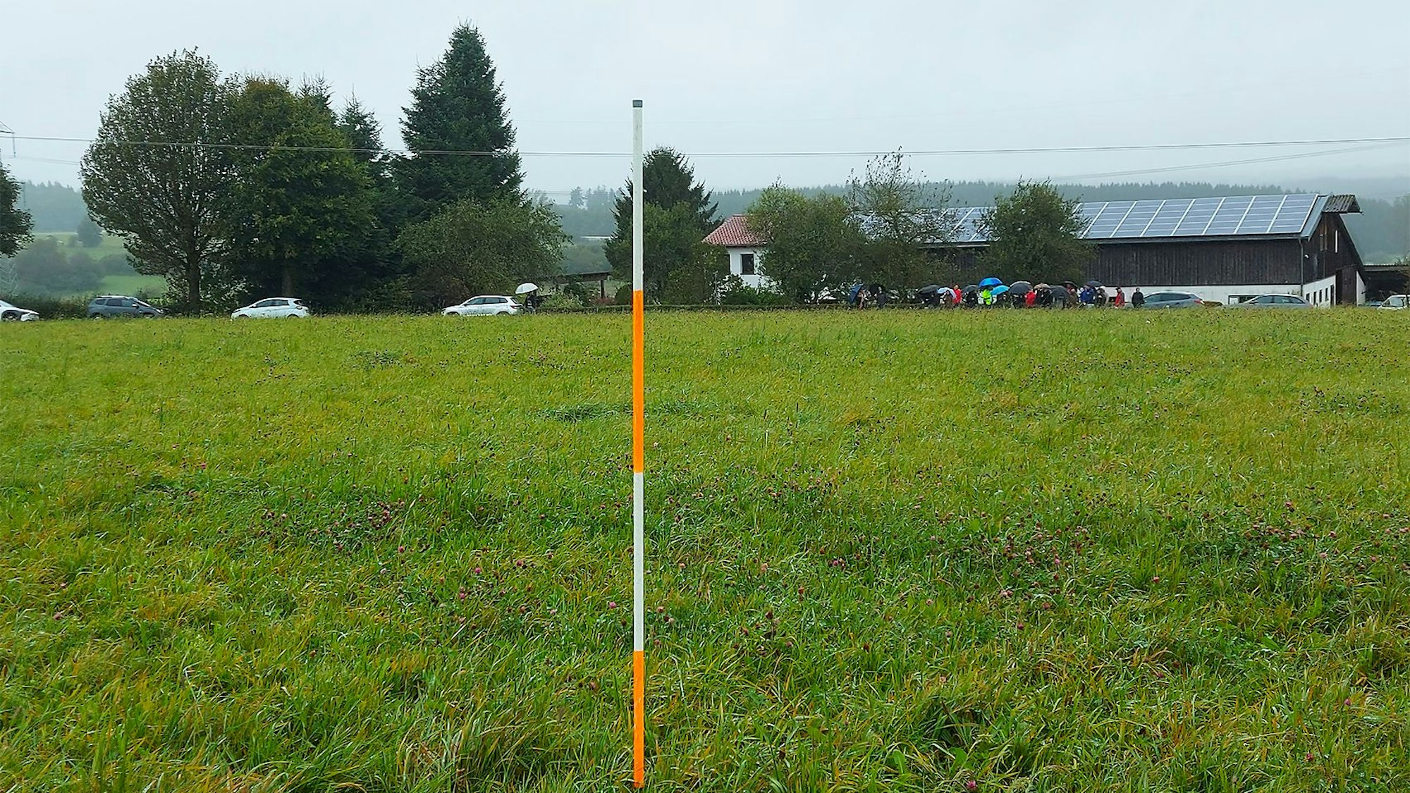 Das Bild zeigt eine Wiese bei Schmidtheim, im Hintergrund ist ein landwirtschaftliches Betriebsgebäude zu erkennen.