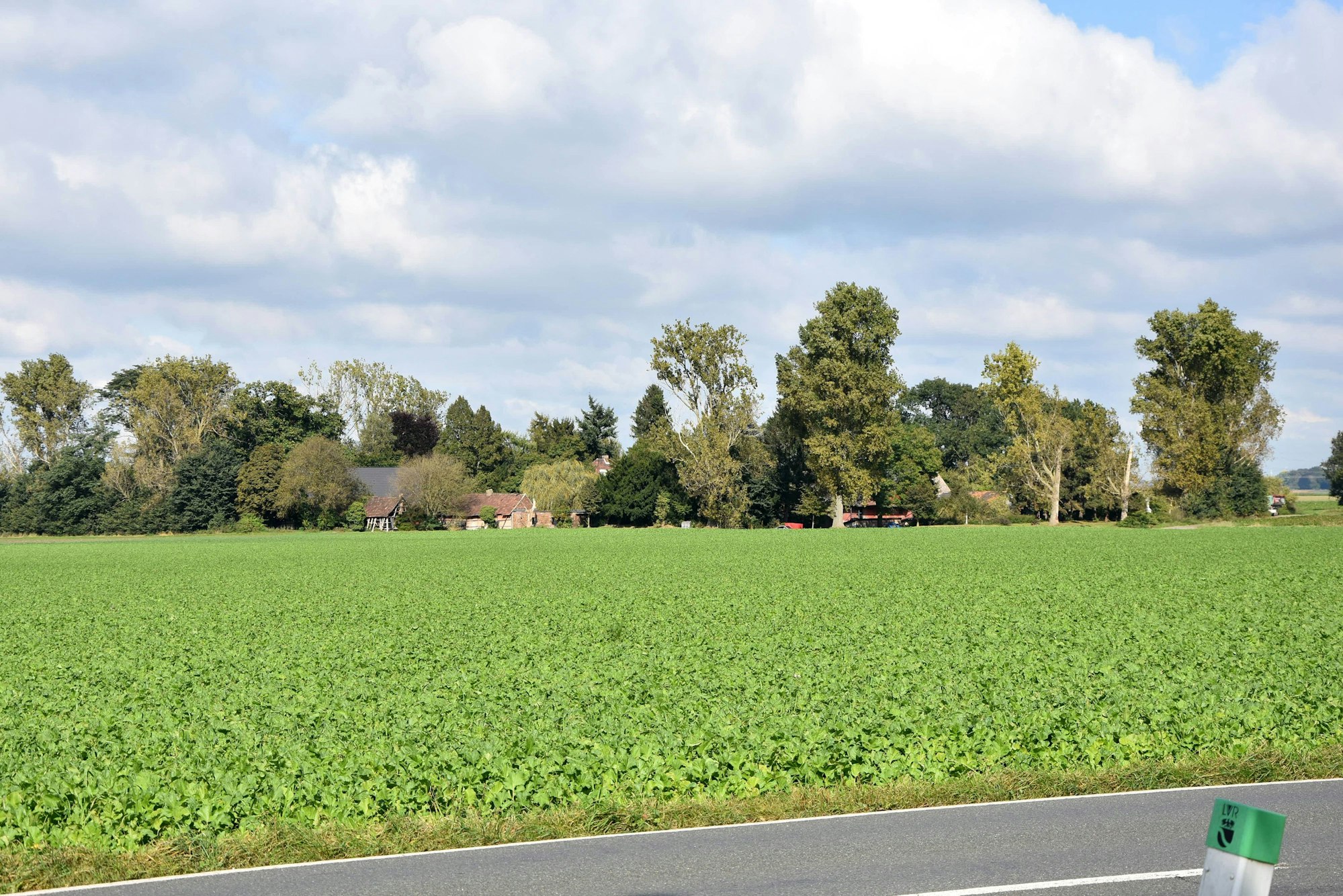 Das Bild zeigt ein grünes Feld vor einem Hof.