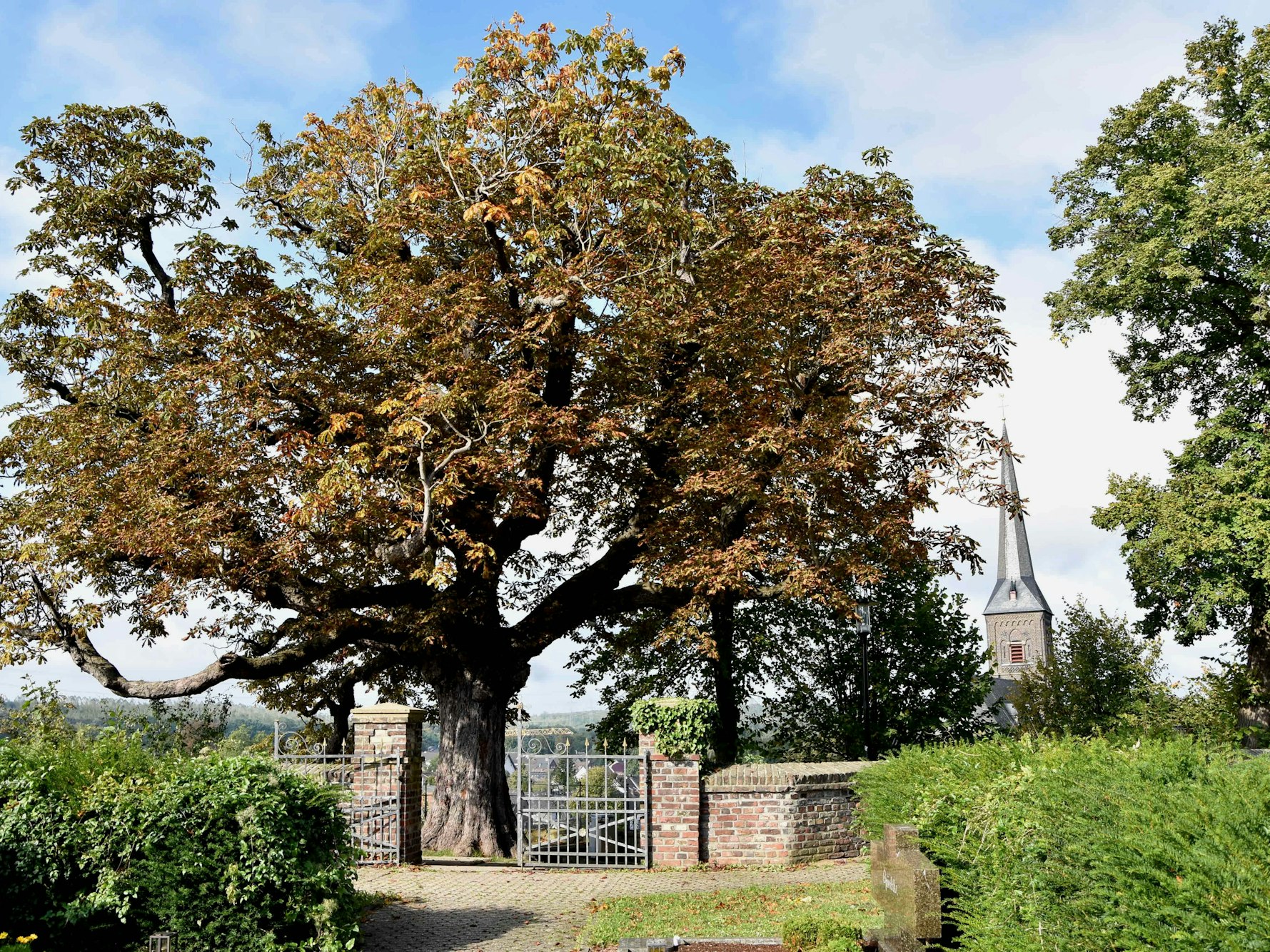 Das Bild zeigt eine Einfahrt mit einer Kirche im Hintergrund.