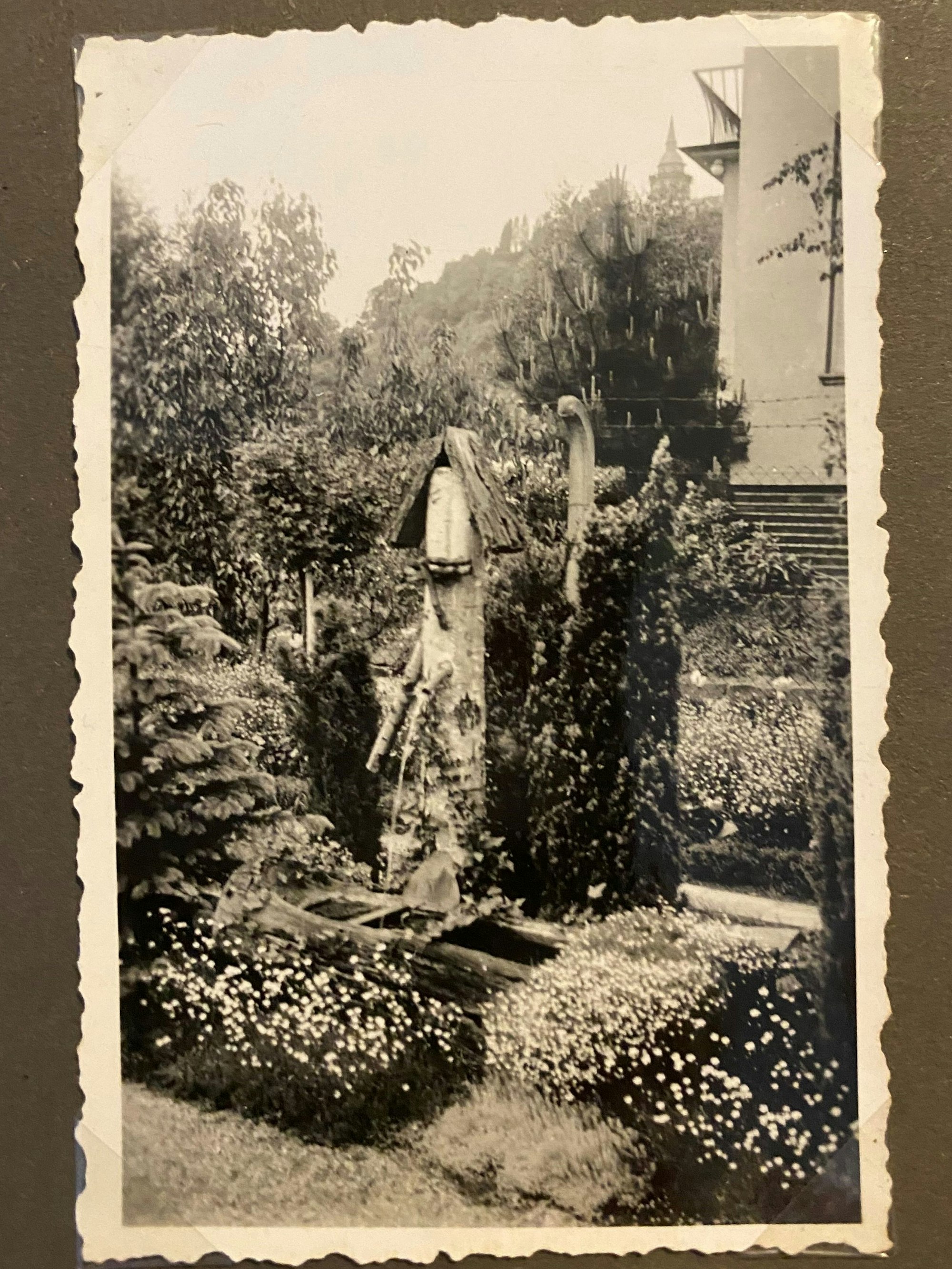 Eina Gartenanlage auf einem alten Schwarzweiß-Foto