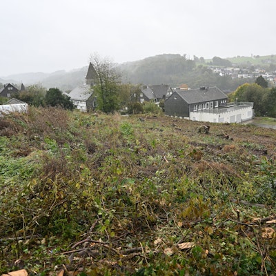 Ein abgeholztes Gelände am Hang der Bergstraße in Kürten. Im Hintergrund eine Kirche.