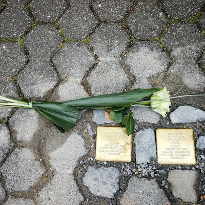 Das Bild zeigt die Stolpersteine für Alice und Ernst David.