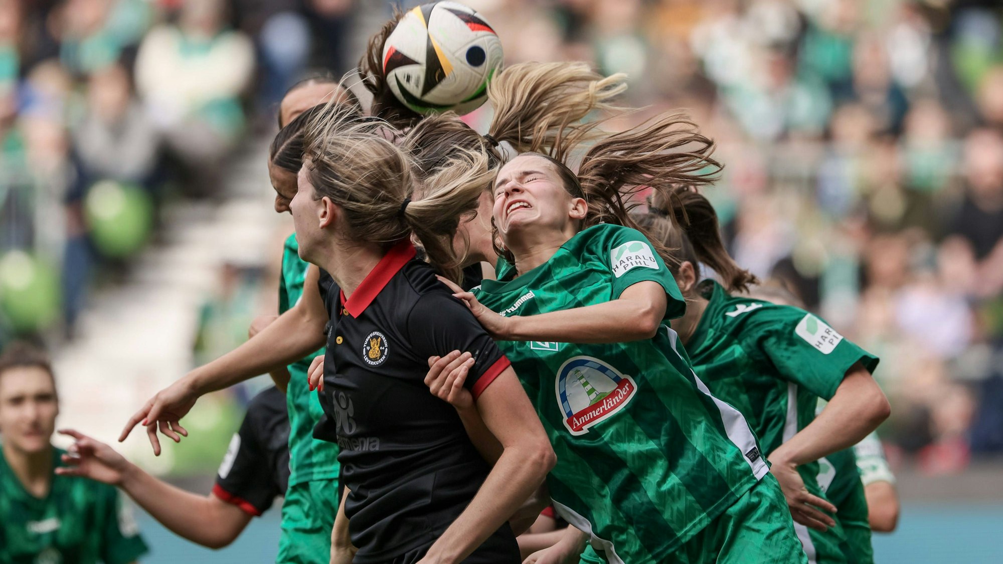 v.li.: Caroline Kehrer Bayer 04 Leverkusen, 9 und Tuana Mahmoud SV Werder Bremen, 10 im Kopfballduell, Kopfball, Zweikampf, Action, Aktion, Spielszene, DIE DFB-RICHTLINIEN UNTERSAGEN JEGLICHE NUTZUNG VON FOTOS ALS SEQUENZBILDER UND/ODER VIDEOÄHNLICHE FOTOSTRECKEN. DFB REGULATIONS PROHIBIT ANY USE OF PHOTOGRAPHS AS IMAGE SEQUENCES AND/OR QUASI-VIDEO., 12.10.2024, Bremen Deutschland, Fussball, Google Pixel Frauen-Bundesliga, SV Werder Bremen - Bayer 04 Leverkusen *** from left Caroline Kehrer Bayer 04 Leverkusen, 9 and Tuana Mahmoud SV Werder Bremen, 10 in header duel, header, duel, action, action, game scene, THE DFB REGULATIONS PROHIBIT ANY USE OF PHOTOGRAPHS AS IMAGE SEQUENCES AND OR QUASI VIDEO , 12 10 2024, Bremen Germany , Football, Google Pixel Womens Bundesliga, SV Werder Bremen Bayer 04 Leverkusen xobx