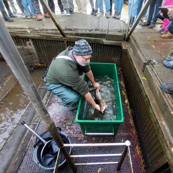 Ein Mann zeigt einen Fisch in einer Kunststoffwanne