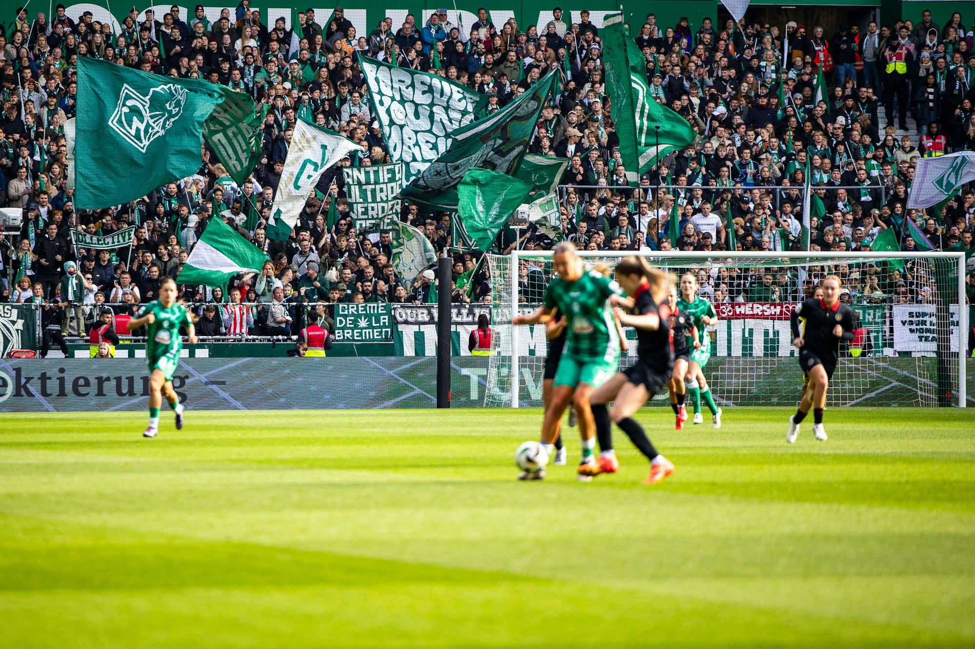 GER, FFBL, SV Werder Bremen vs Bayer Leverkusen / 12.10.2024, WESERSTADION, GER, FFBL, SV Werder Bremen vs Bayer Leverkusen im Bild ImHintergrund feuern die Fans des SV Werder das Frauen-Team an, *** GER, FFBL, SV Werder Bremen vs Bayer Leverkusen 12 10 2024, WESERSTADION, GER, FFBL, SV Werder Bremen vs Bayer Leverkusen in the picture In the background, SV Werder fans cheer on the womens team, nordphotoxGmbHx/xRauch nph00251