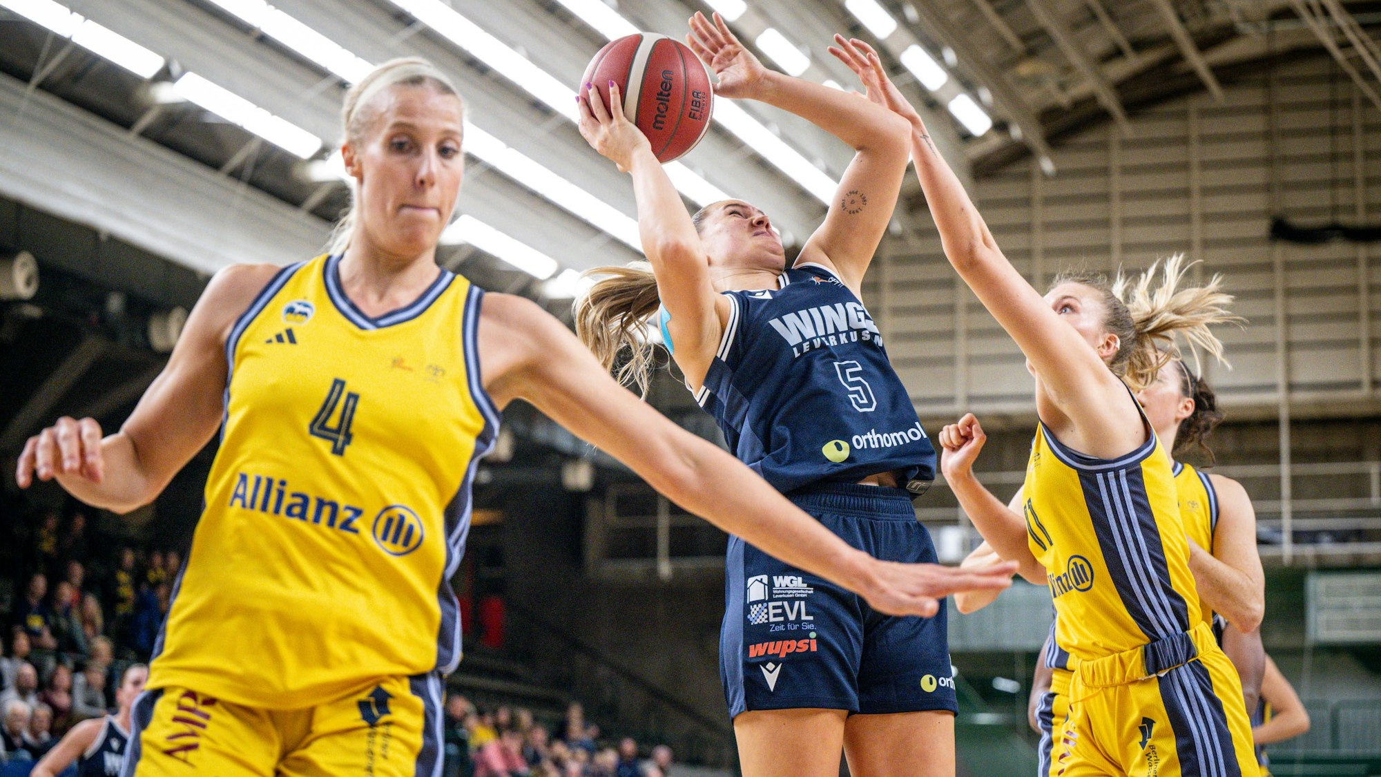 Basketball Berlin 12.10.2024 Saison 2024 / 2025 Toyota DBBL / 1. Bundesliga Frauen Alba Berlin - Wings Leverkusen Ligita Tamutyte Leverkusen, No.05 *** Basketball Berlin 12 10 2024 Season 2024 2025 Toyota DBBL 1 Bundesliga Women Alba Berlin Wings Leverkusen Ligita Tamutyte Leverkusen, No 05