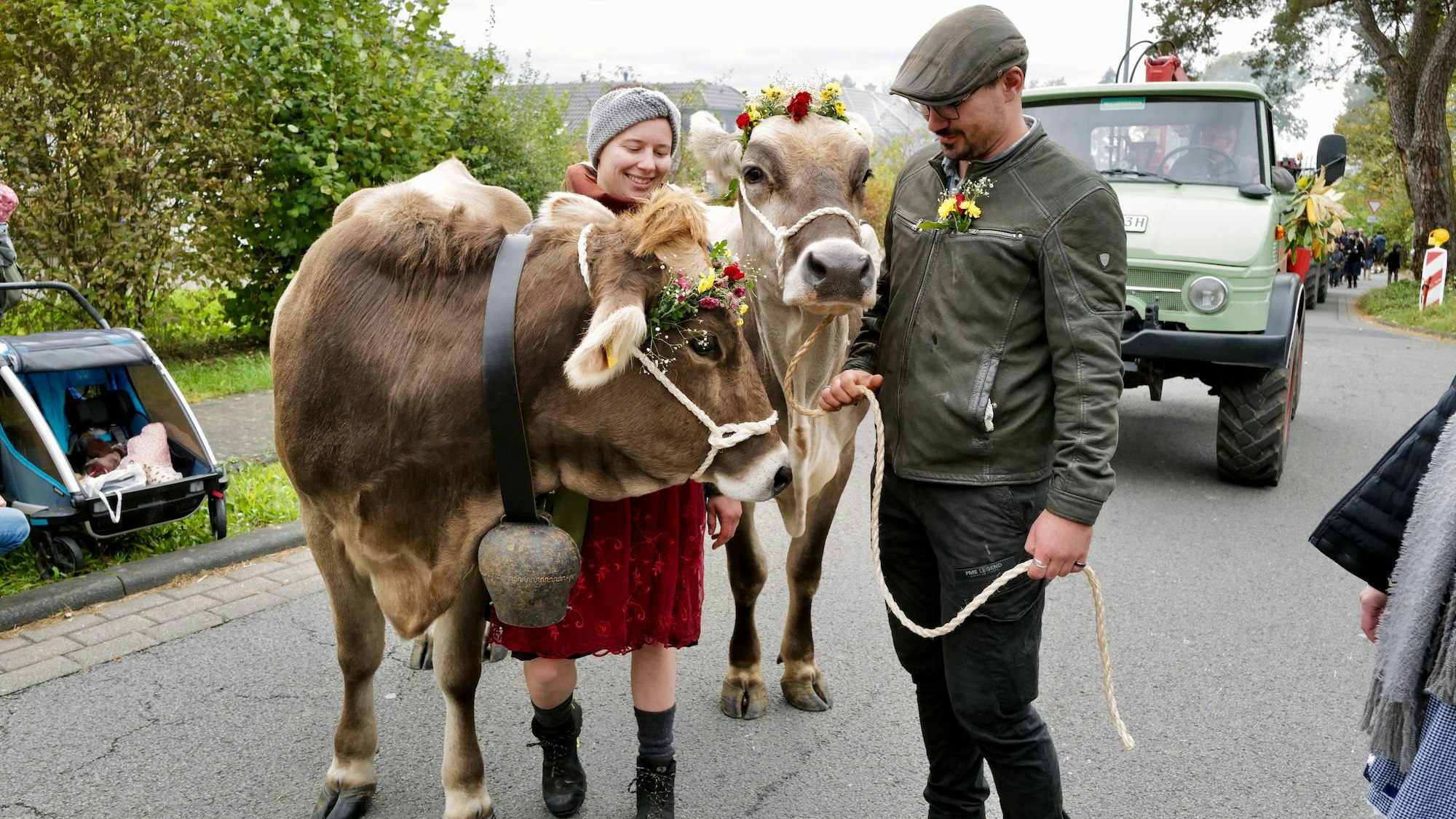 Ein Mann führt zwei geschmückte Kühe auf einer Straße.