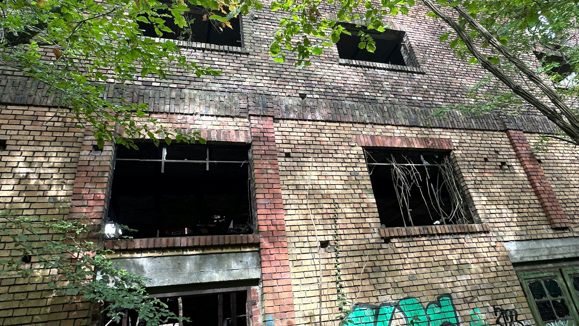 Das Pleistalwerk zerfällt langsam. Fenster sind zerstört, Türen fehlen.