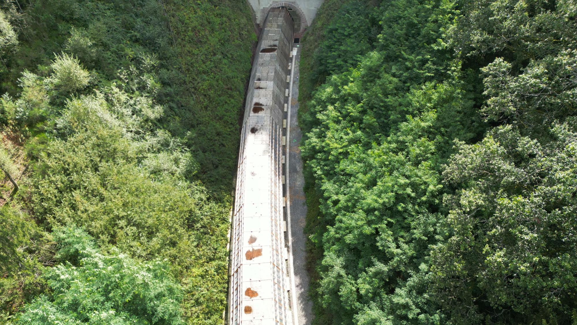 An einem Tunneleingang für die Reaktivierung der stillgelegten Hermann-Hesse-Bahn bei Calw ist ein vorgezogener Tunneleingang aufgebaut, der zu den aufwändigen Maßnahmen zum Fledermausschutz zählt.