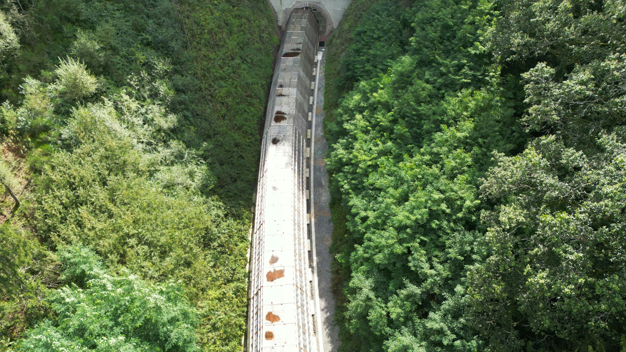 An einem Tunneleingang für die Reaktivierung der stillgelegten Hermann-Hesse-Bahn bei Calw ist ein vorgezogener Tunneleingang aufgebaut, der zu den aufwändigen Maßnahmen zum Fledermausschutz zählt.