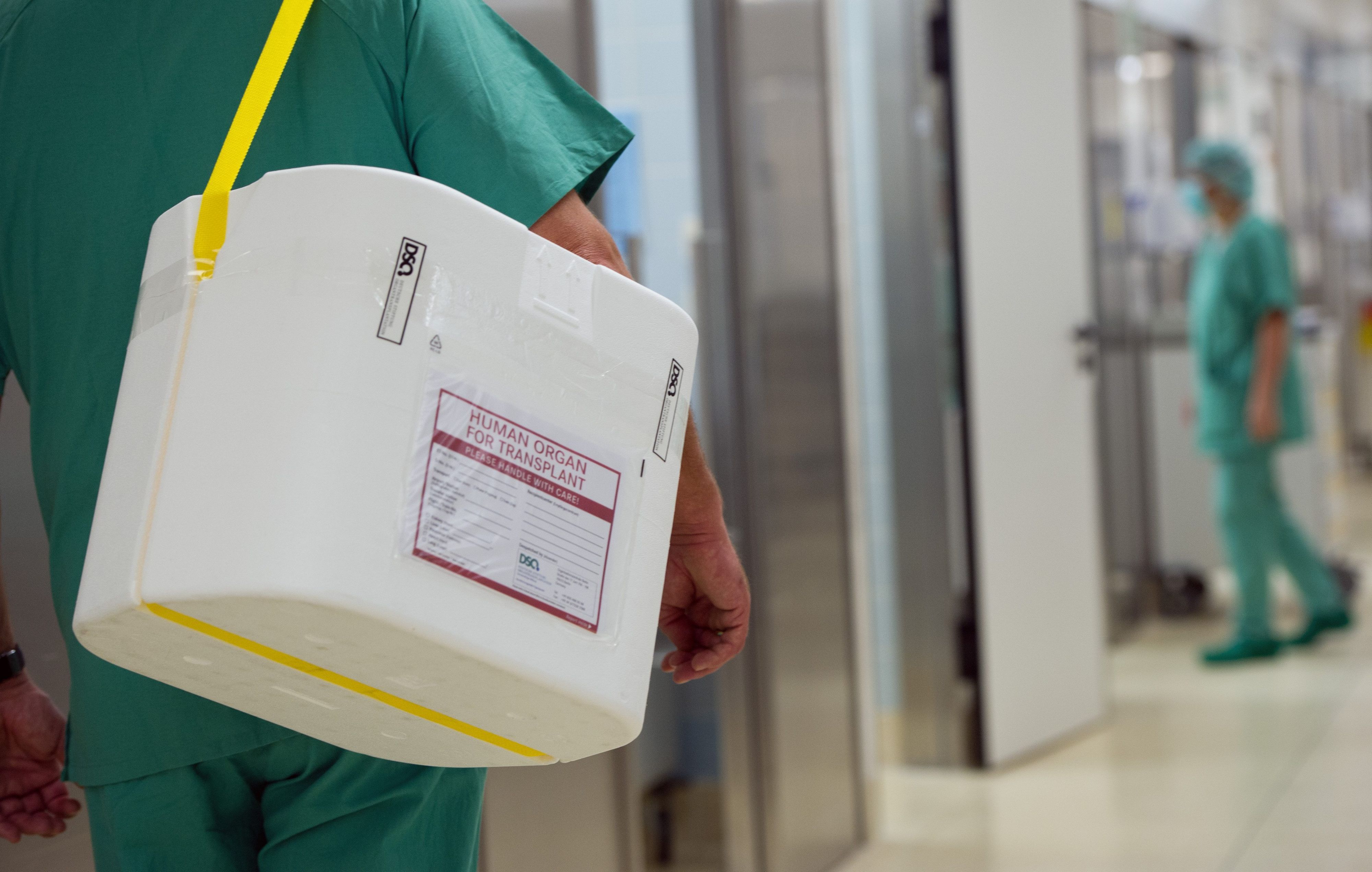 28.09.2012, Berlin: Ein Styropor-Behälter zum Transport von zur Transplantation vorgesehenen Organen wird an einem OP-Saal vorbei getragen.