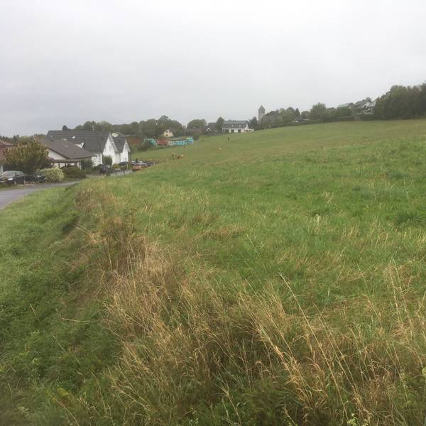 Eine große Wiese an einem sanft ansteigenden Hang, einige Wohnhäuser, Bäume und ein Kirchturm an den Rändern und im Hintergrund.