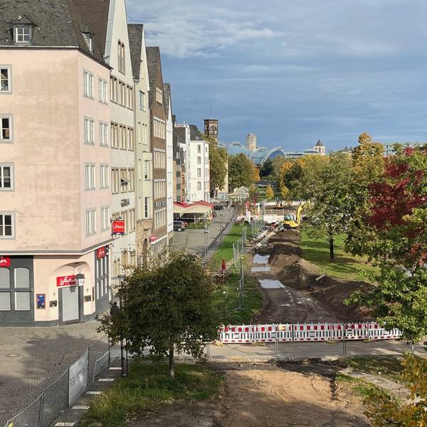 Blick auf den Rheingarten, dort soll neuer Rollrasen verlegt werden.