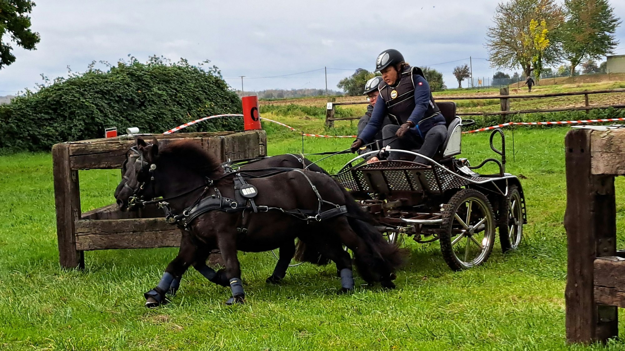 Das Bild zeigt ein Gespann während des Fahrturniers in Zülpich.