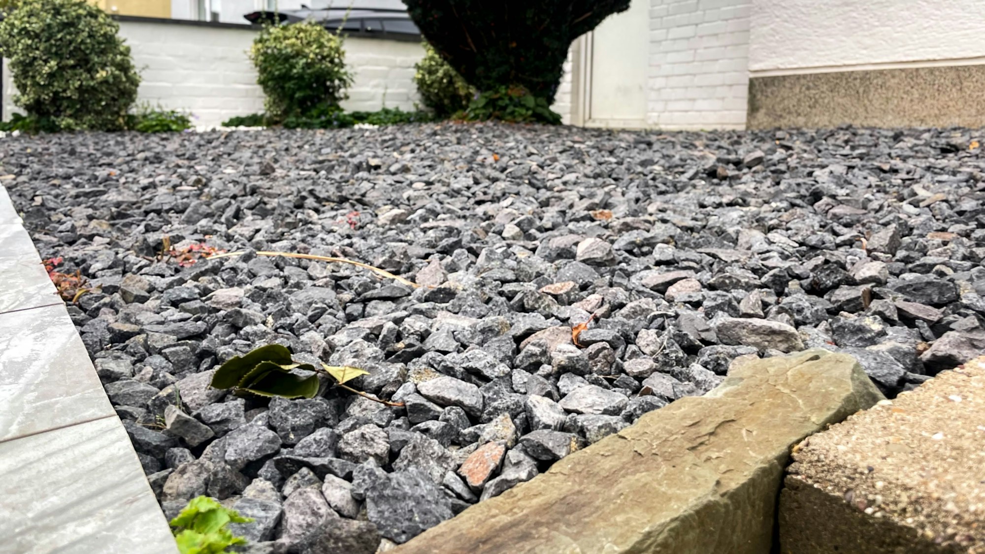 Das Bild zeigt eine große versiegelte Fläche. Nur ein paar Sträucher sind zu erkennen.