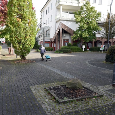 Ein Pflanzfeld im Pflaster einer Fußgängerzone.