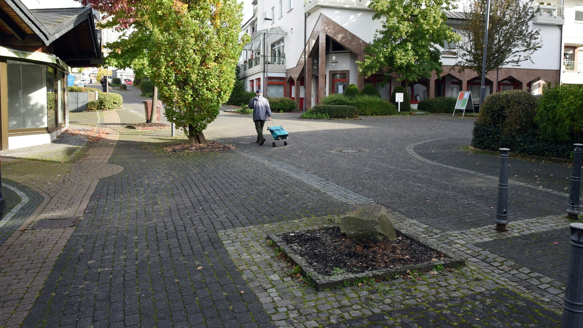 Ein Pflanzfeld im Pflaster einer Fußgängerzone.