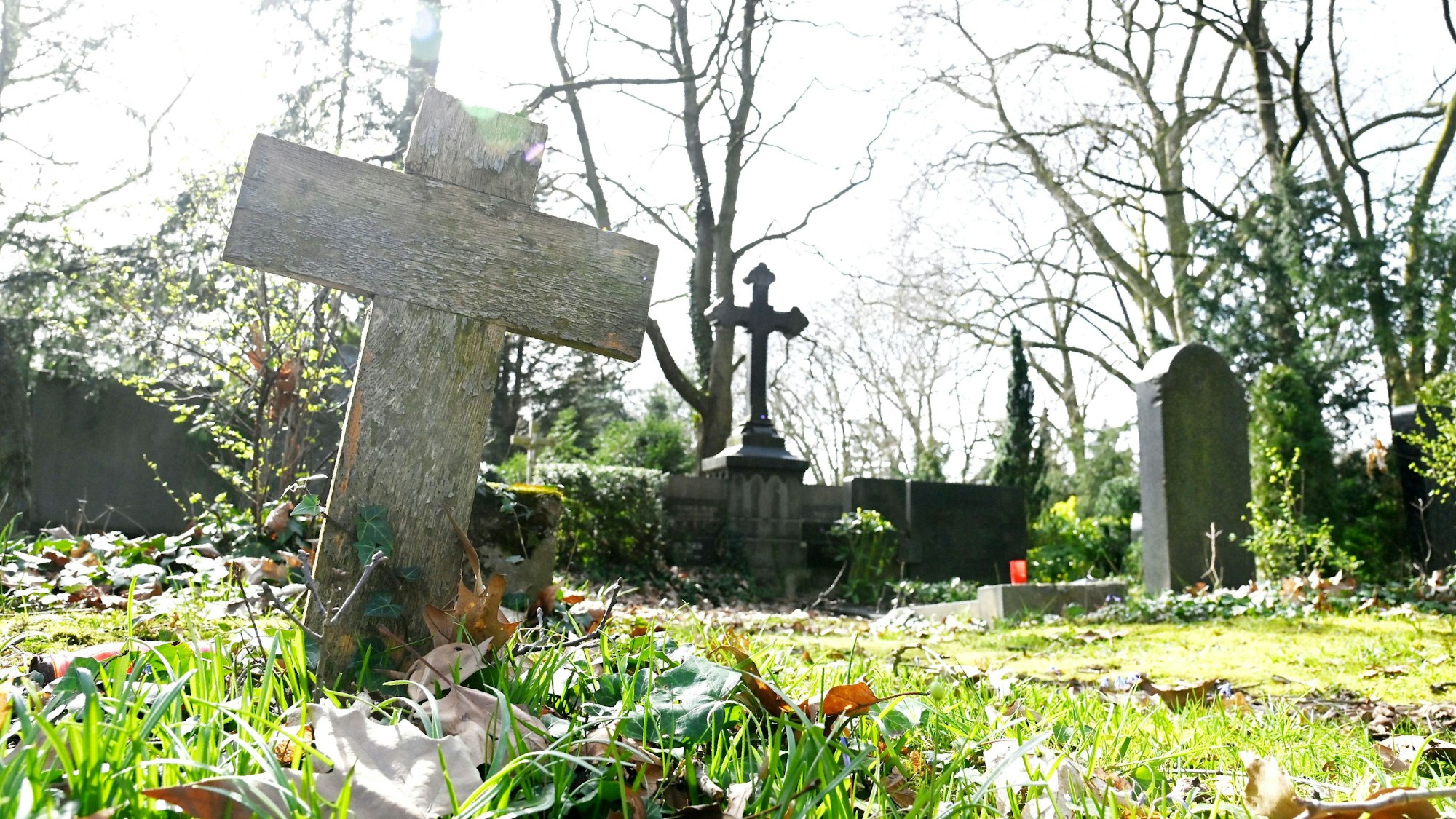 19.03.2024 Köln. Report Melaten für Ostern - Rundgang mit dem ehemaligen Friedhofsleiter Peter Lejeune. Foto: Alexander Schwaiger