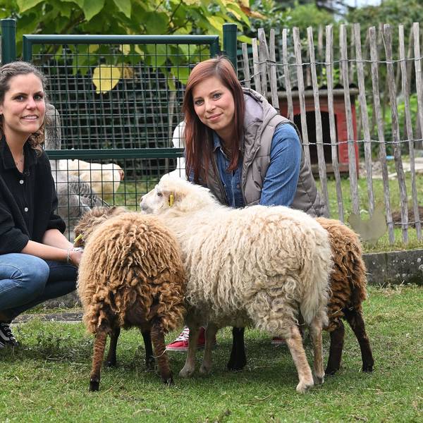 Zwei junge Frauen mit drei kleinen Schafen - zwei mit brauner Wolle, eines mit weißer.