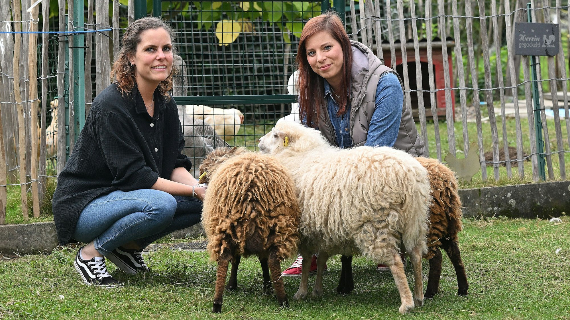Zwei junge Frauen knien bei drei Schafen auf einer Wiese.