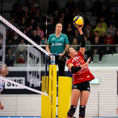 2. Bundesliga Frauen Pro: Schwarz-Weiss Erfurt vs. TSV Bayer 04 Leverkusen Erfurt 18.11.2023 Am Ball Svenja Enning 11 TSV Bayer 04 Leverkusen und Laurine Vinkesteijn 12 TSV Bayer 04 Leverkusen rechts 2. Bundesliga Frauen Pro: Schwarz-Weiss Erfurt vs. TSV Bayer 04 Leverkusen Riethsporthalle Erfurt 18.11.2023 *** 2 Bundesliga Women Pro Schwarz Weiss Erfurt vs TSV Bayer 04 Leverkusen Erfurt 18 11 2023 On the ball Svenja Enning 11 TSV Bayer 04 Leverkusen and Laurine Vinkesteijn 12 TSV Bayer 04 Leverkusen right 2 Bundesliga Women Pro Schwarz Weiss Erfurt vs TSV Bayer 04 Leverkusen Riethsporthalle Erfurt 18 11 2023 Copyright: xBEAUTIFULxSPORTS/Duehringx