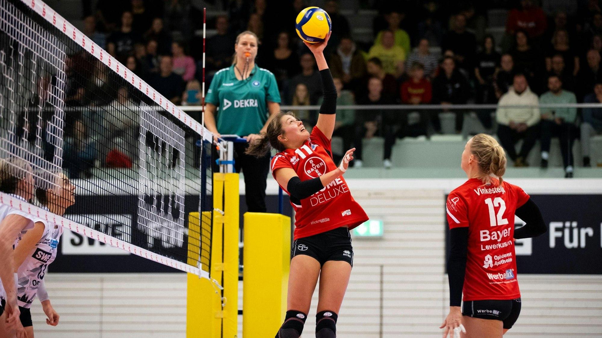 2. Bundesliga Frauen Pro: Schwarz-Weiss Erfurt vs. TSV Bayer 04 Leverkusen Erfurt 18.11.2023 Am Ball Svenja Enning 11 TSV Bayer 04 Leverkusen und Laurine Vinkesteijn 12 TSV Bayer 04 Leverkusen rechts 2. Bundesliga Frauen Pro: Schwarz-Weiss Erfurt vs. TSV Bayer 04 Leverkusen Riethsporthalle Erfurt 18.11.2023 *** 2 Bundesliga Women Pro Schwarz Weiss Erfurt vs TSV Bayer 04 Leverkusen Erfurt 18 11 2023 On the ball Svenja Enning 11 TSV Bayer 04 Leverkusen and Laurine Vinkesteijn 12 TSV Bayer 04 Leverkusen right 2 Bundesliga Women Pro Schwarz Weiss Erfurt vs TSV Bayer 04 Leverkusen Riethsporthalle Erfurt 18 11 2023 Copyright: xBEAUTIFULxSPORTS/Duehringx