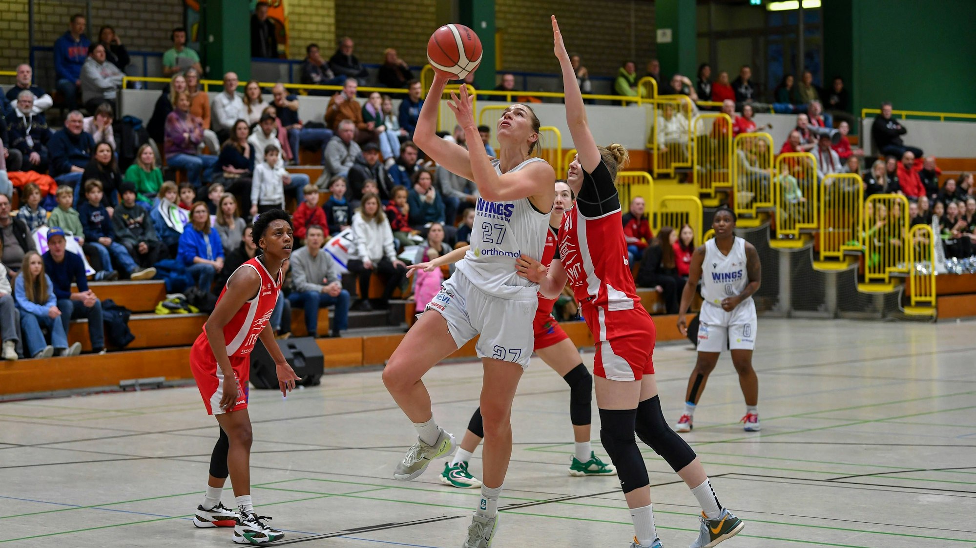 1. Damen Basketball Bundesliga: Orthomol WINGS Leverkusen vs. Herner TC, 21.01.2024 Lisa Koop Orthomol WINGS Leverkusen 27, 1. Damen Basketball Bundesliga: Orthomol WINGS Leverkusen vs. Herner TC am 21.01.2024 in der Sporthalle Werner-Heisenberg-Gymnasium in Opladen Nordrhein-Westfalen *** 1 Womens Basketball Bundesliga Orthomol WINGS Leverkusen vs Herner TC, 21 01 2024 Lisa Koop Orthomol WINGS Leverkusen 27 , 1 Womens Basketball Bundesliga Orthomol WINGS Leverkusen vs Herner TC on 21 01 2024 at the Sporthalle Werner Heisenberg Gymnasium in Opladen Nordrhein Westfalen Copyright: xBEAUTIFULxSPORTS/Mueller-Laschetx