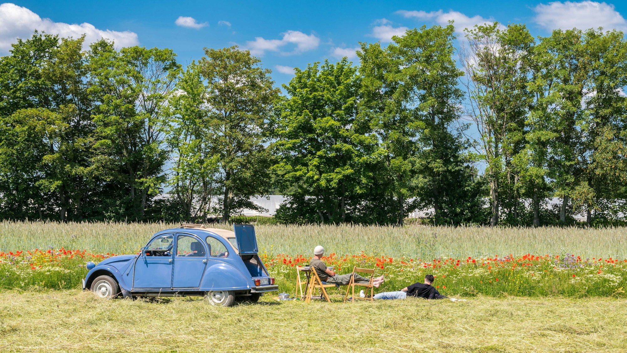 Das Bild zeigt eine Ente (Auto) vor einem Feld mit Mohnblumen und einer Person, die davon Picknick macht.