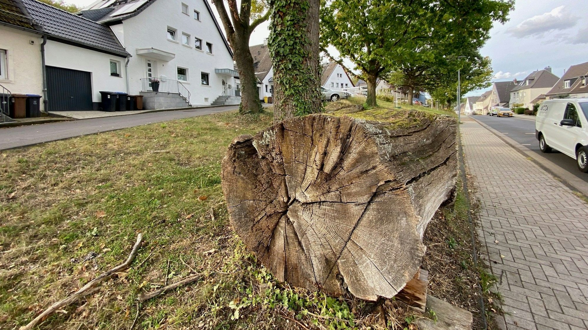 Zu sehen ist ein Baumstamm, der an einer Straße liegt