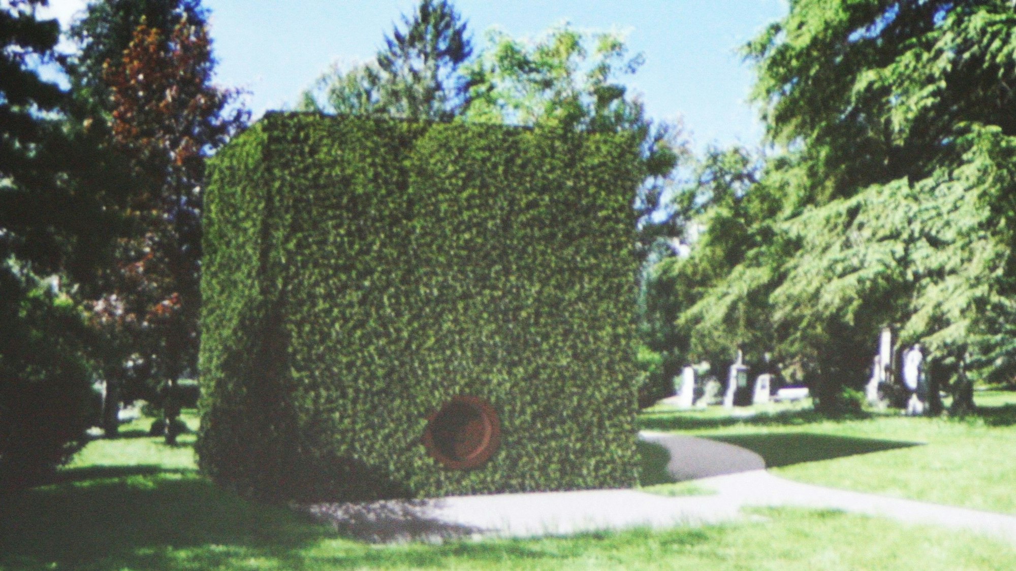 Fotomontage eines Memorial Cubes auf einem Friedhof, ein fast würfelförmiges Gebäude ohne Fenster mit begrünter Fassade.