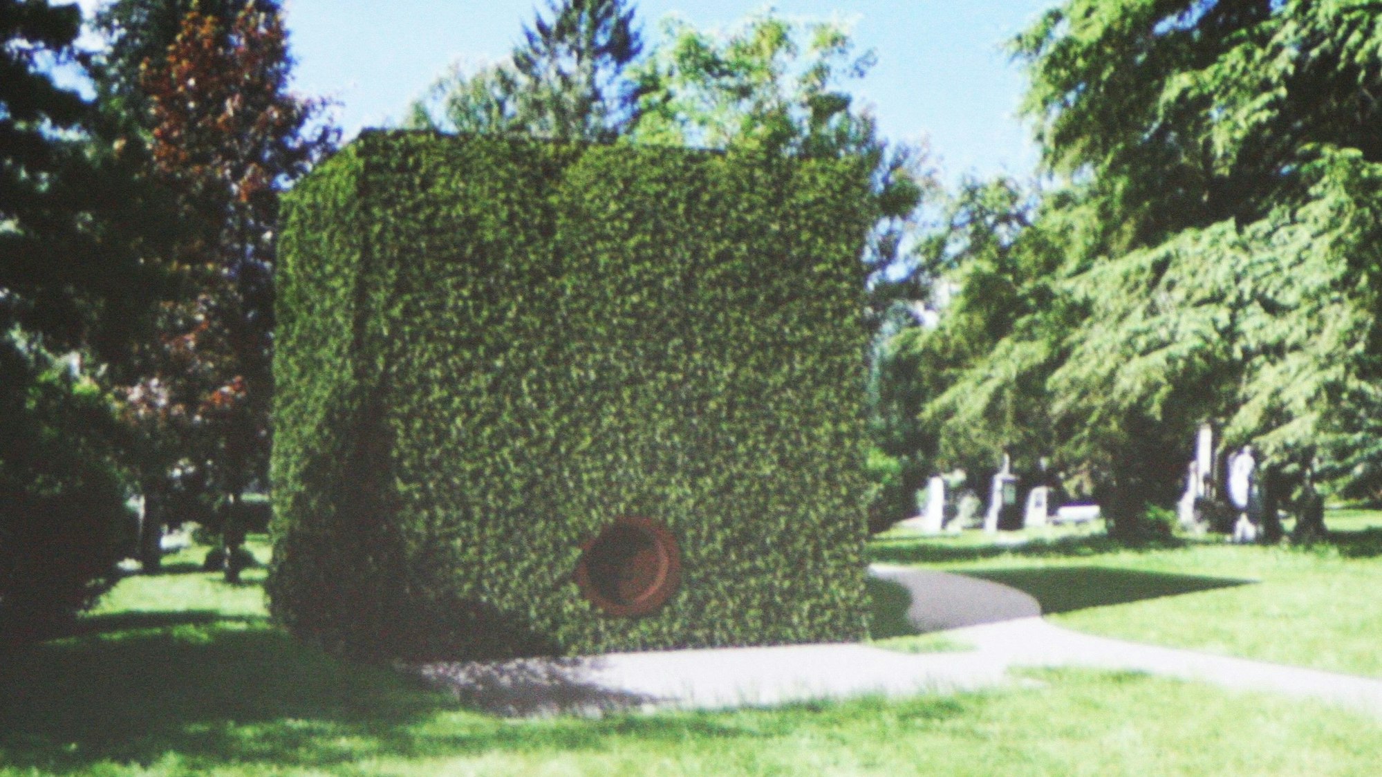 Ein grün bewachsener, großer Kubus mit runder Öffnung steht zwischen alten Grabsteinen und Bäumen.