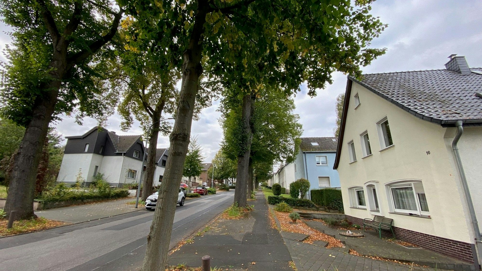 Zu sehen ist eine Straße, an der Bäume stehen.