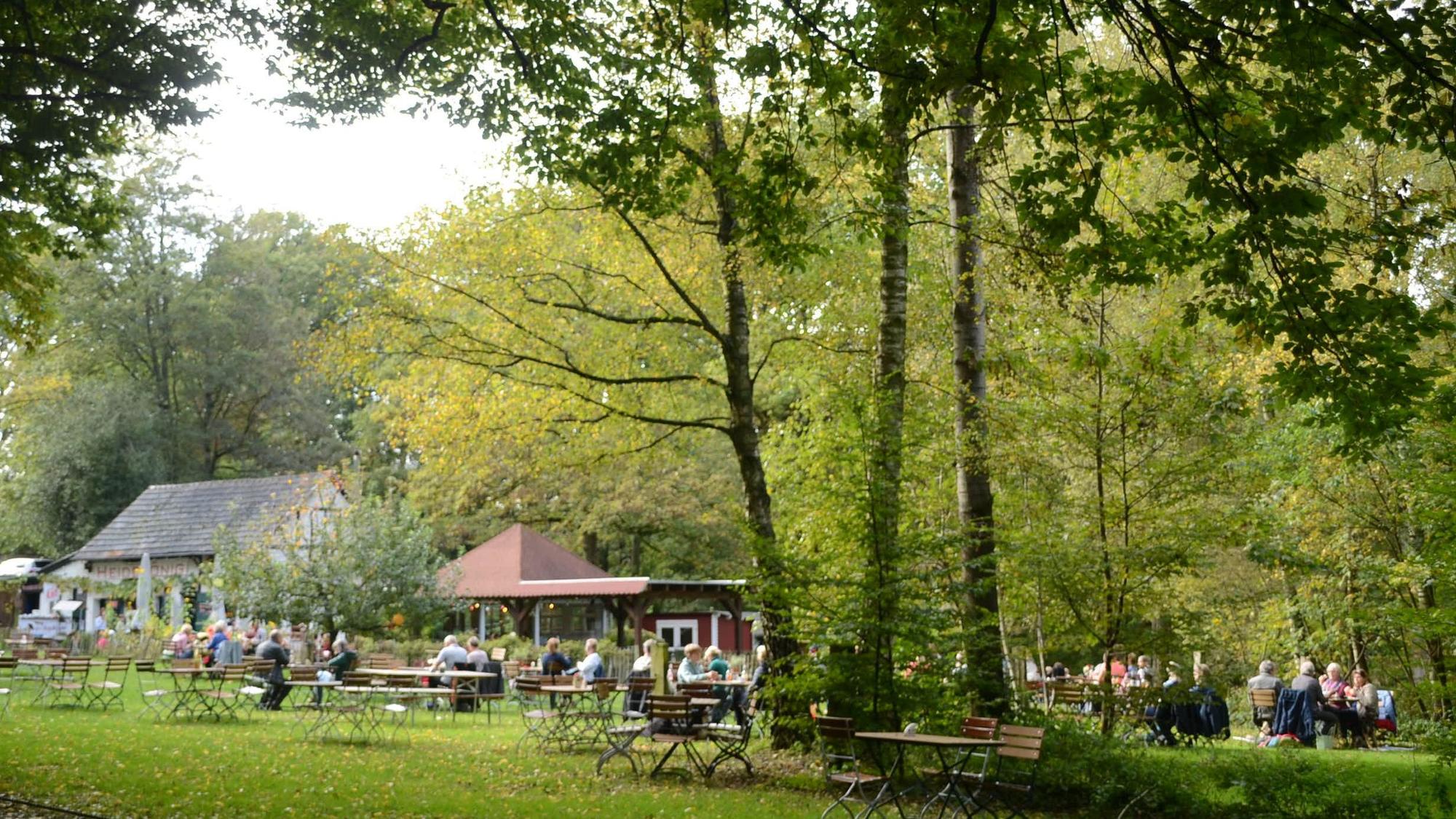 Ein Ausflugslokal auf einer Wiese im Wald. Menschen sitzen an Tischen, die Sonne scheint auf herbstlich gefärbte Bäume.