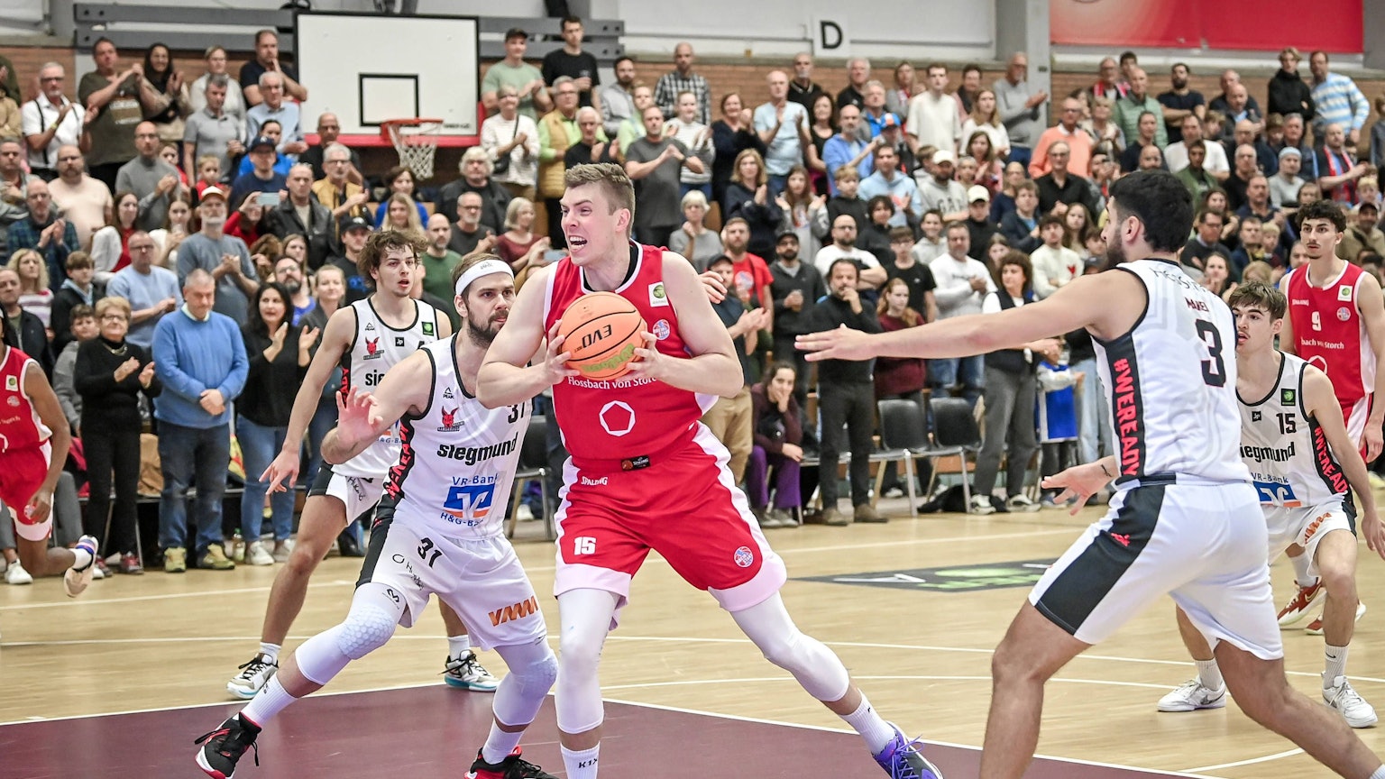 Barmer 2. Basketball Bundesliga ProB: Rheinstars Koeln vs. BG Hessing Leitershofen, 19.10.2024 Bjoern Rohwer RheinStars Koeln 15, Barmer 2. Basketball Bundesliga ProB: Rheinstars Koeln vs. BG Hessing Leitershofen am 19.10.2024 im ASV Koeln in Koeln Nordrhein-Westfalen *** Barmer 2 Basketball Bundesliga ProB Rheinstars Koeln vs BG Hessing Leitershofen, 19 10 2024 Bjoern Rohwer RheinStars Koeln 15 , Barmer 2 Basketball Bundesliga ProB Rheinstars Koeln vs BG Hessing Leitershofen on 19 10 2024 at ASV Koeln in Koeln North Rhine-Westphalia Copyright: xBEAUTIFULxSPORTS/Mueller-Laschetx