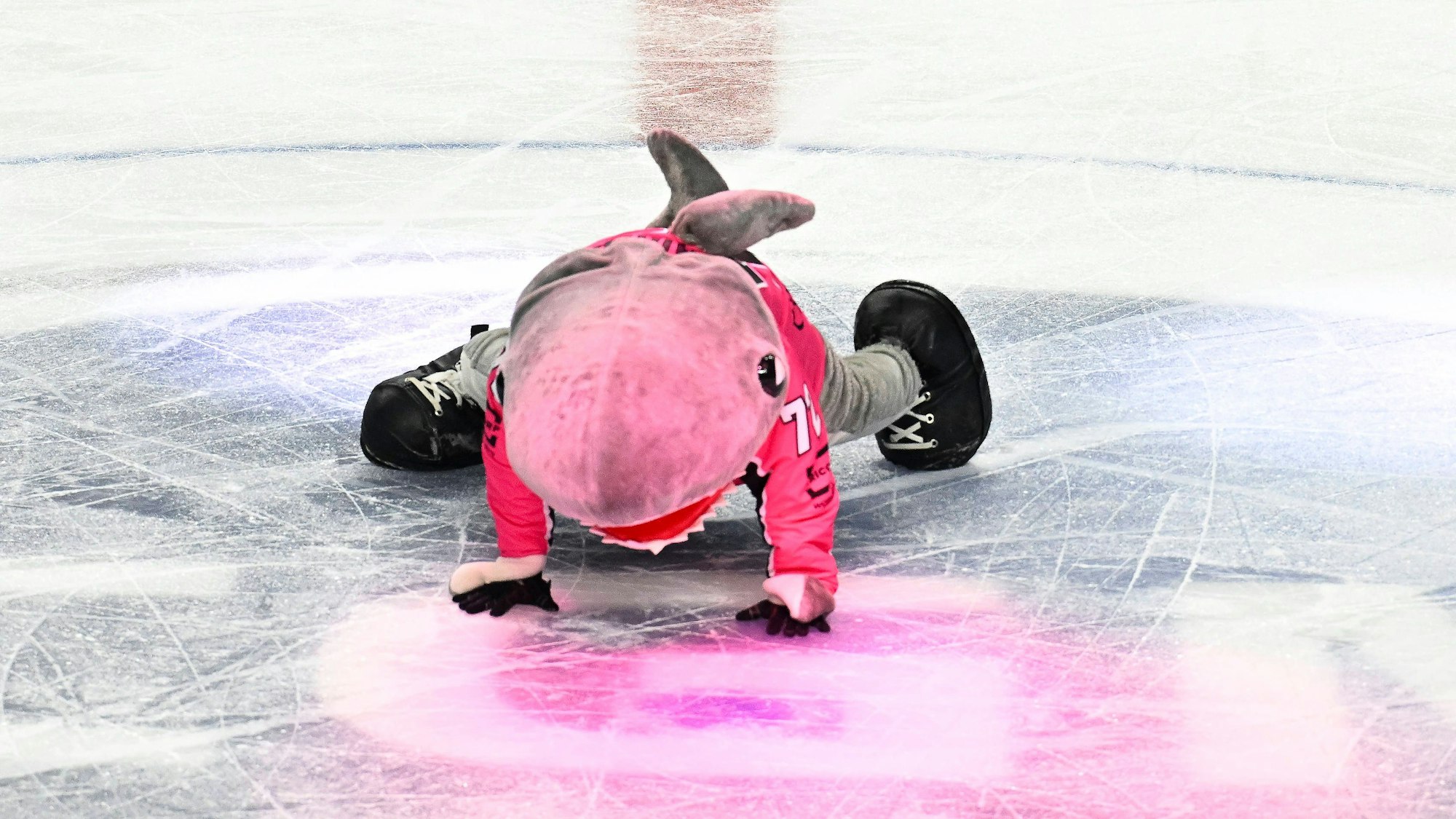 Die Kölner Haie verlieren knapp in Iserlohn gegen die Roosters. (Archivbild)