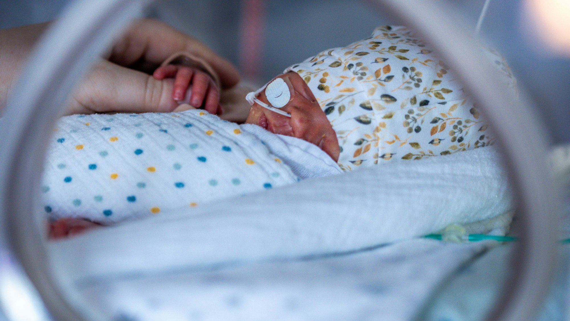 Ein Frühchen in einem Inkubator