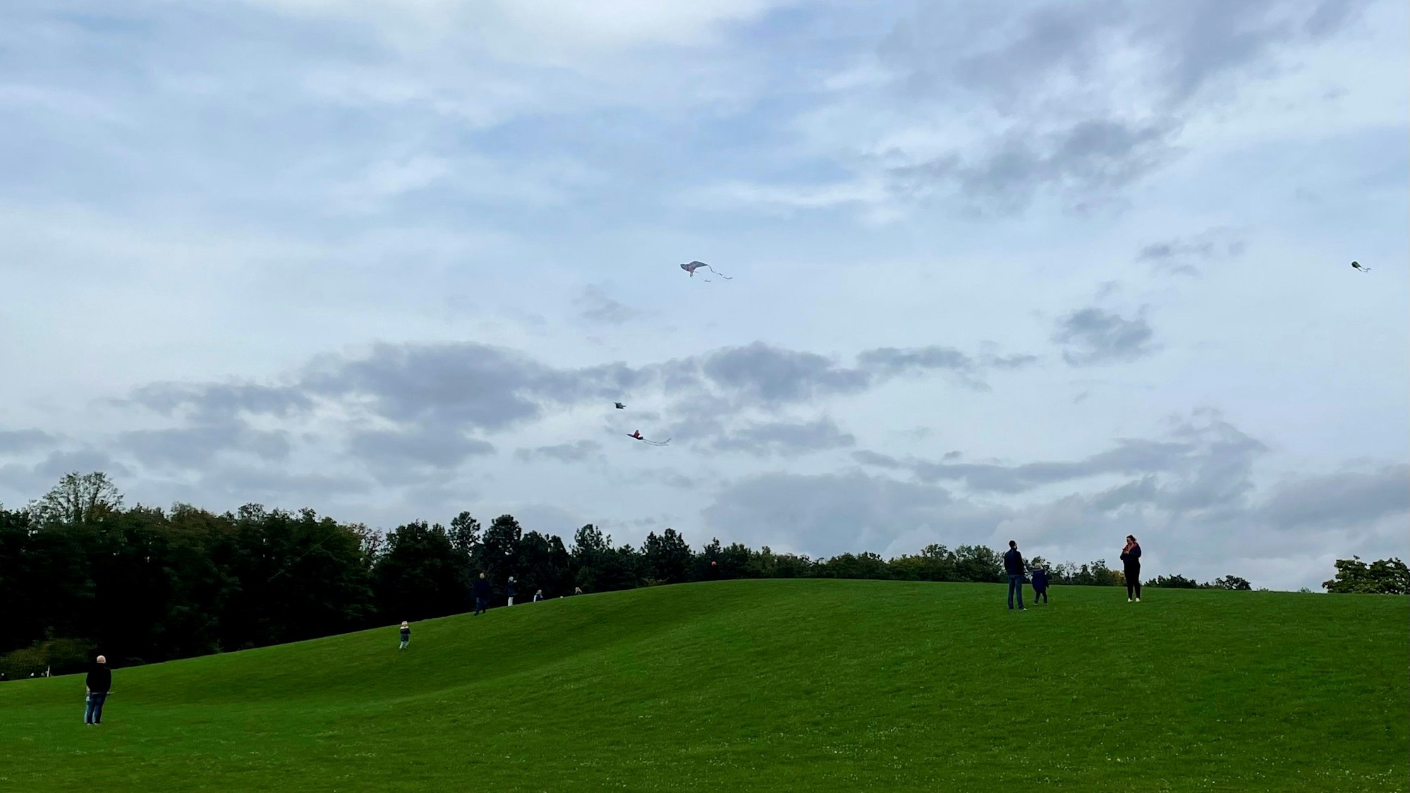 Drachen werden auf dem Hügel im Forstbotanischen Garten steigen gelassen. (Archivbild)