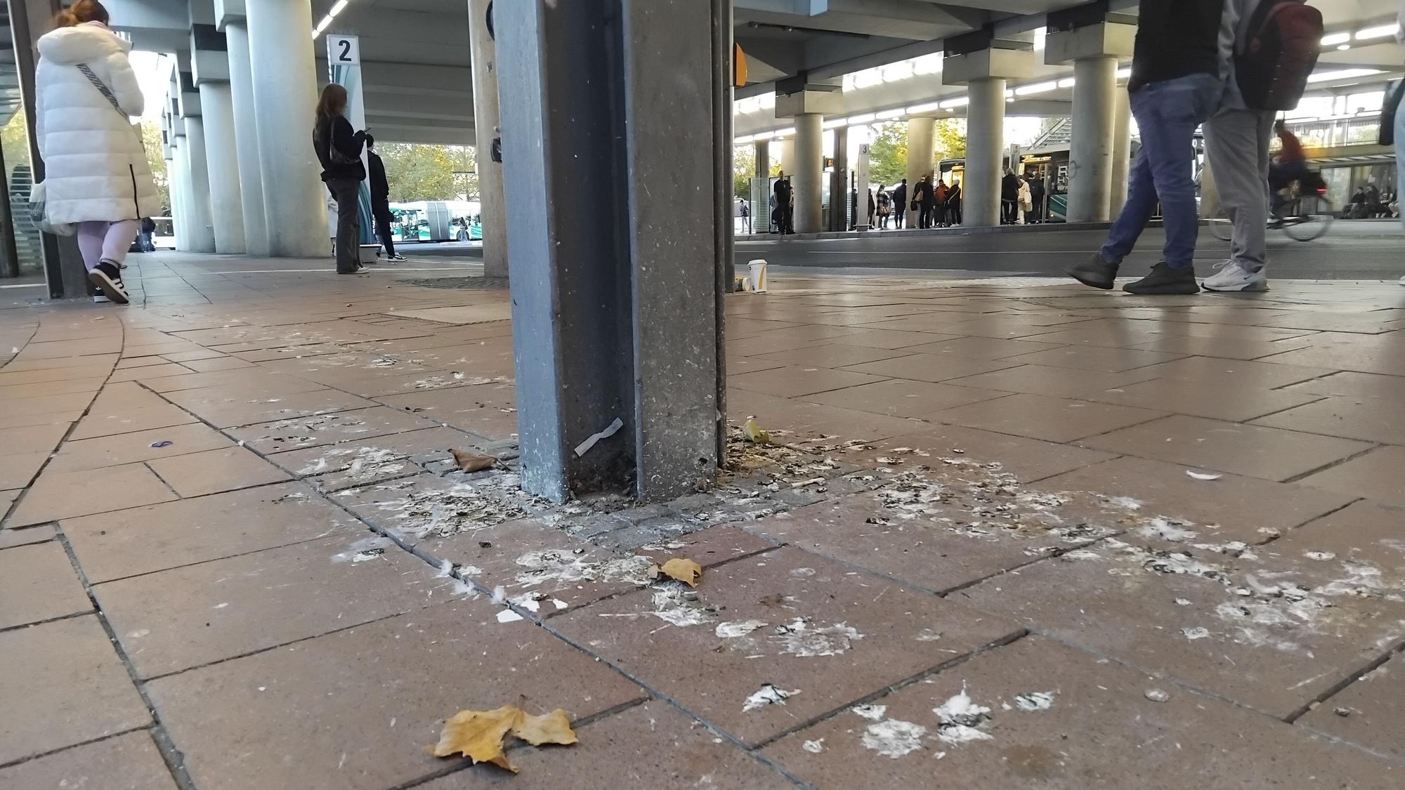 Der Dreck durch Tauben am Siegburger Bahnhof soll durch den Taubenwagen eingedämmt werden.
