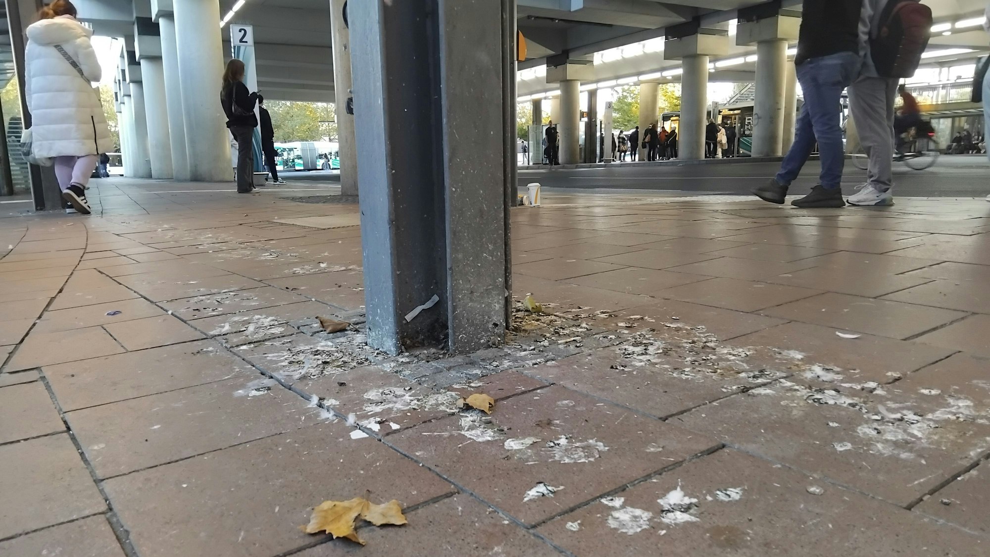 Der Dreck durch Tauben am Siegburger Bahnhof soll durch den Taubenwagen eingedämmt werden.