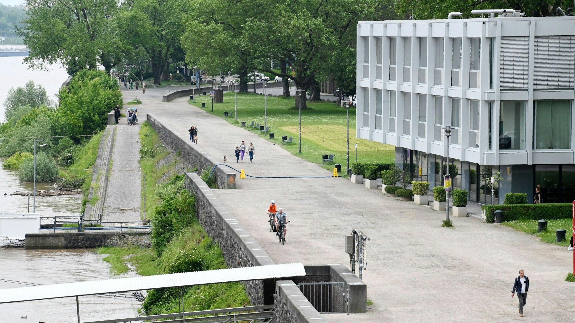 Der Fuß- und Radweg zwischen Hohenzollernbrücke und Tanzbrunnen ist in einem schlechten Zustand. Bei Regen füllen sich zahlreiche Schlaglöcher mit Wasser.