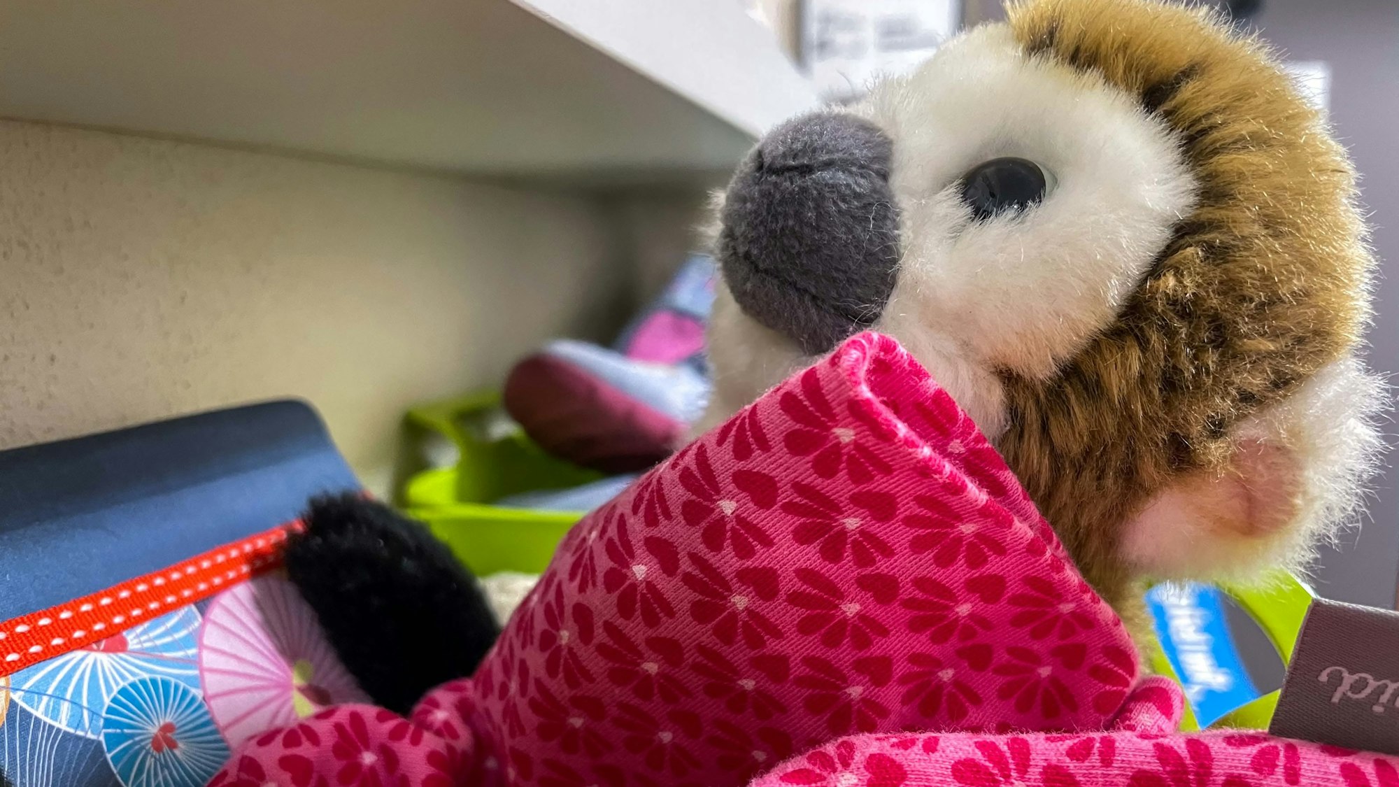 Symbolfoto aus einer Kita im Kreis Euskirchen: Ein Stofftier liegt in einer Kiste mit bunten Tüchern.