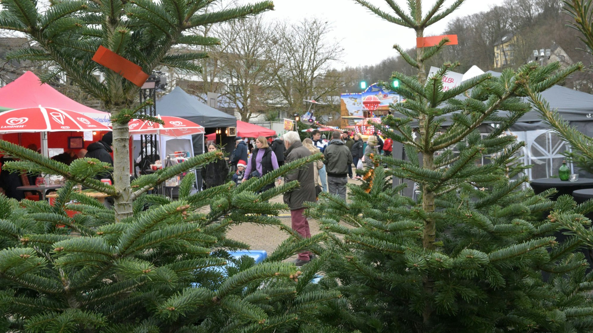 Weihnachtsmarkt Hoffnungsthal in 2023
