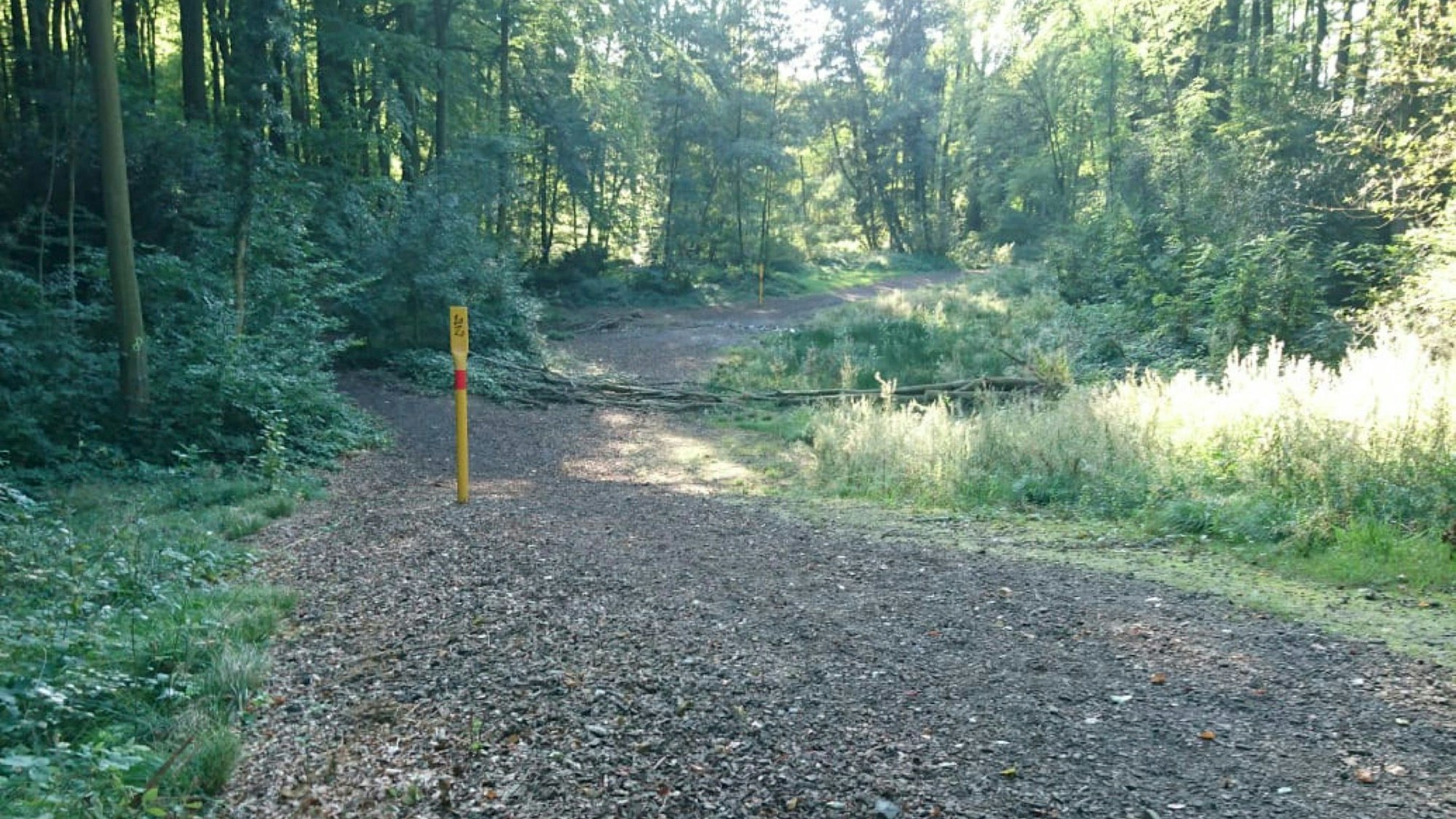 Trasse der Gas-Pipeline auf dem Lucasweg zwischen Pattscheid und Balken