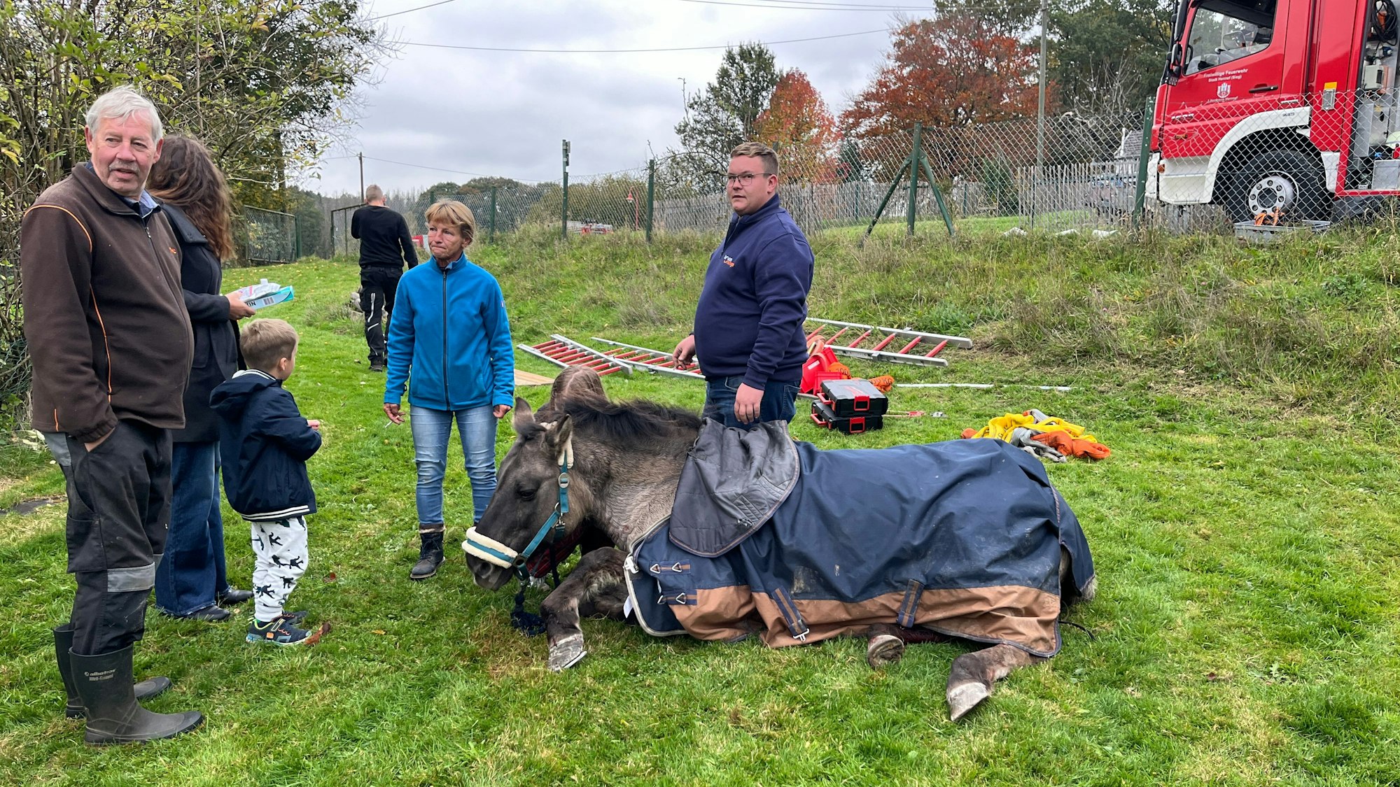 Ein Pferd liegt mit einer Decke auf der Wiese.