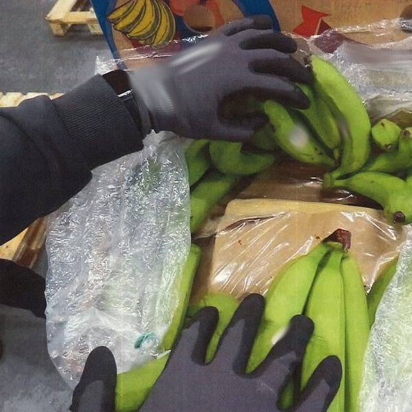 In den Bananenkisten fanden die Ermittler das Kokain.