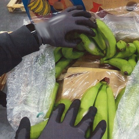 In den Bananenkisten fanden die Ermittler das Kokain.