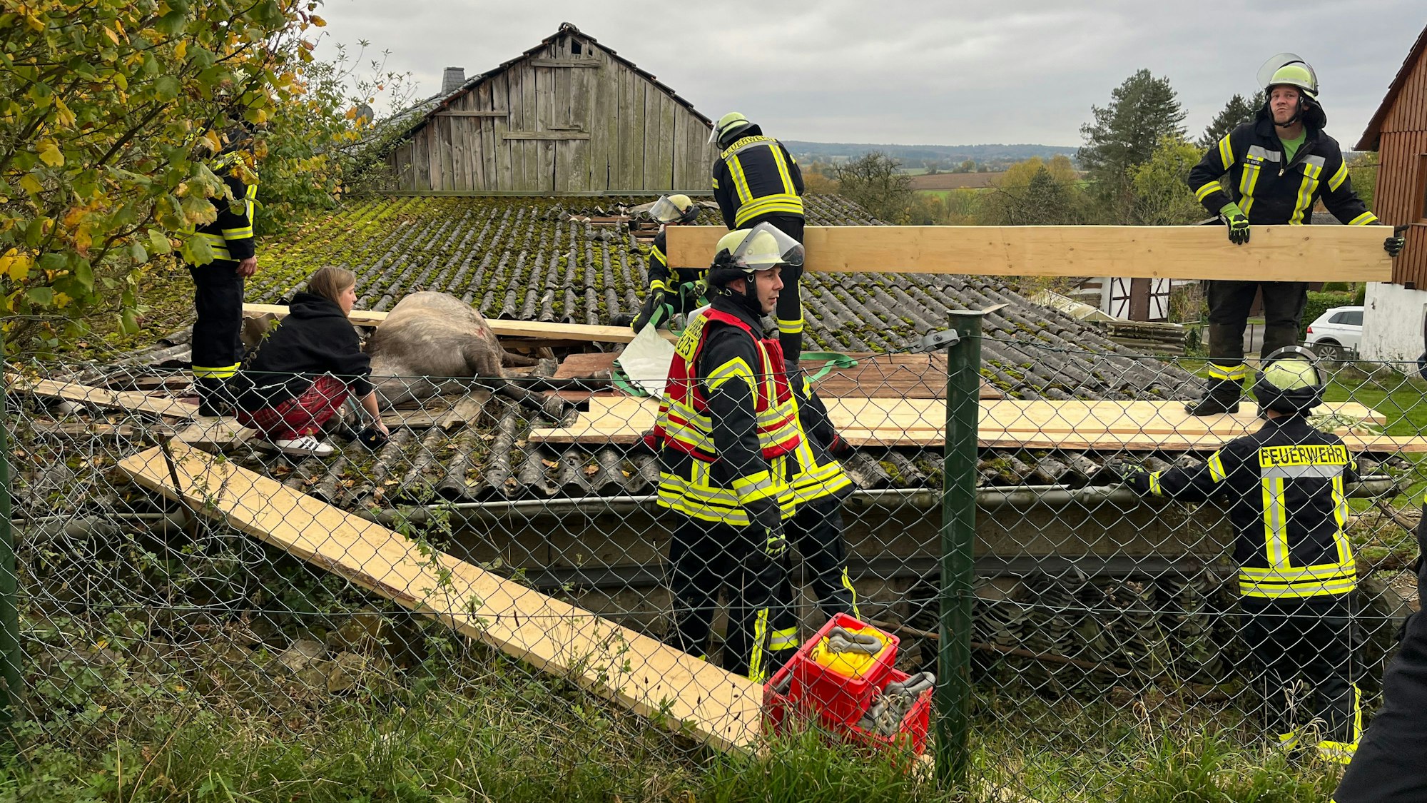 Ein Pferd steckt fest, Feuerwehrleute verstärken das Dach mit Dielen.