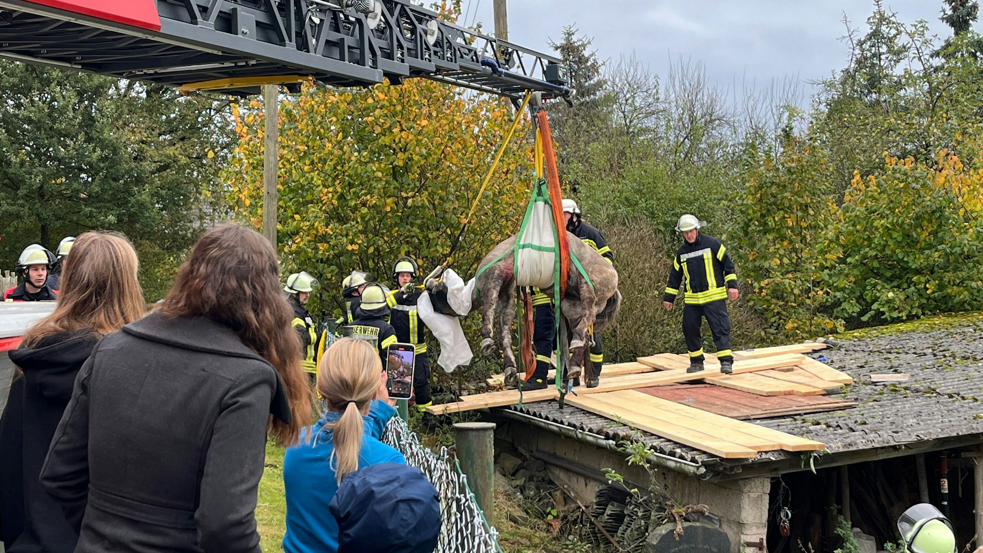 Ein Pferd wird mit Hilfe einer Drehleiter aus einem Loch im Dach herausgehoben.