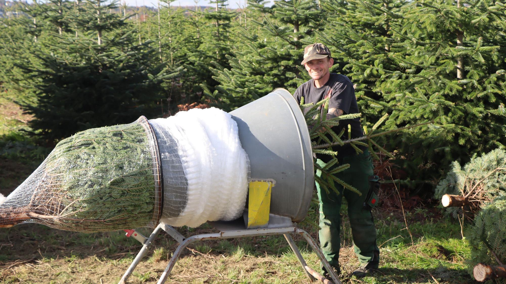 Ein Mann schiebt einen Tannenbaum in einen Trichter, an dessen Ende sich ein Netz befindet.